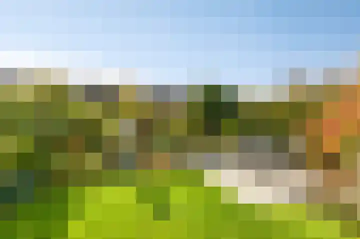 Bergkristal 6 Duiven thumbnail 33