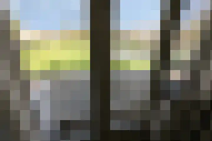 Bergkristal 6 Duiven thumbnail 40