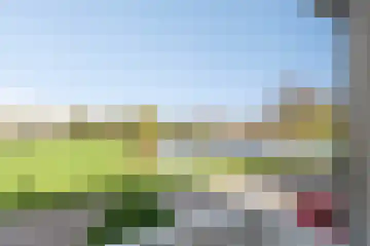 Bergkristal 6 Duiven thumbnail 41