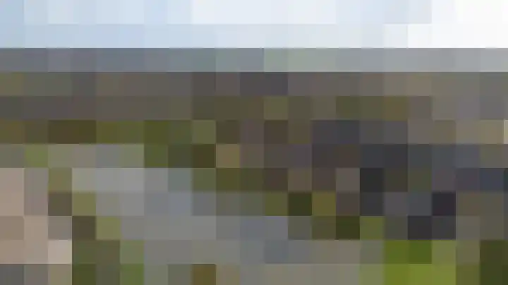 Bergkristal 6 Duiven thumbnail 5