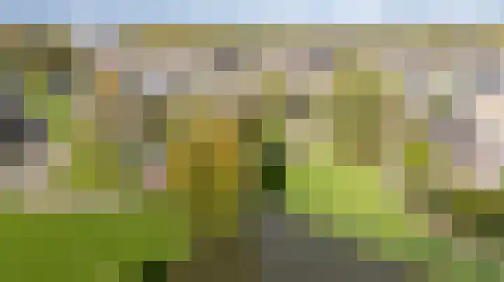 Bergkristal 6 Duiven thumbnail 56