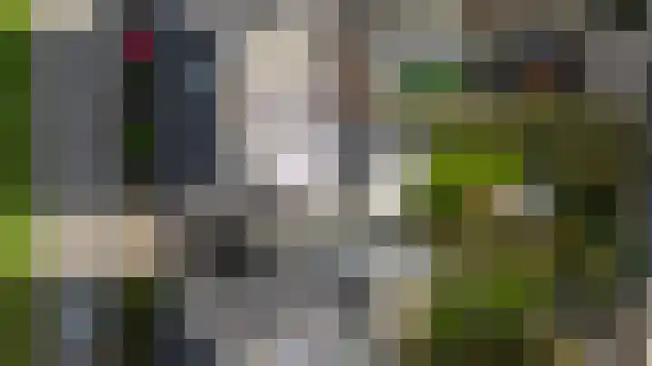 Bergkristal 6 Duiven thumbnail 57