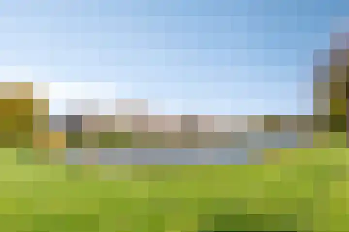 Bergkristal 6 Duiven thumbnail 6