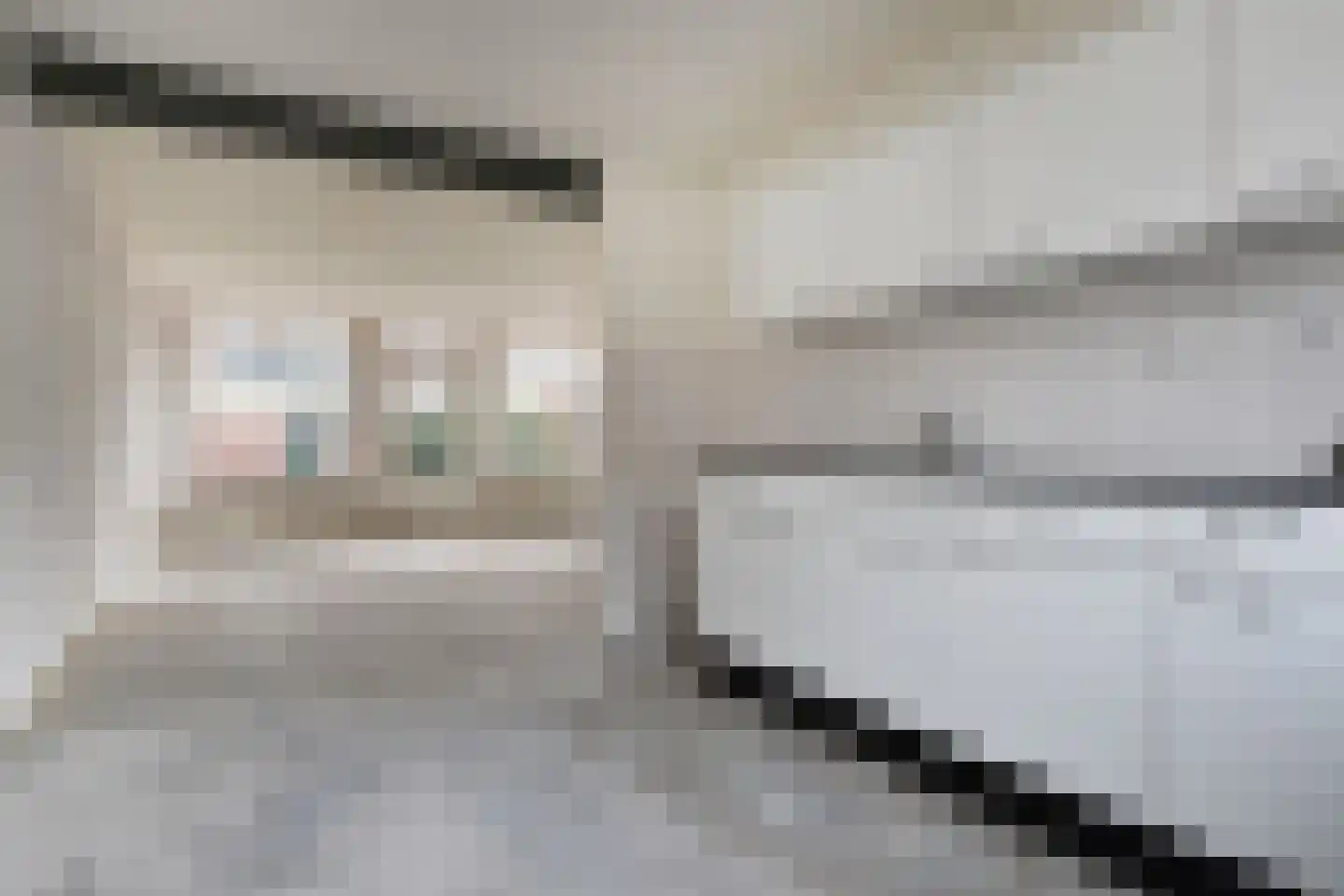 Bergkristal 6 Zoetermeer thumbnail 17