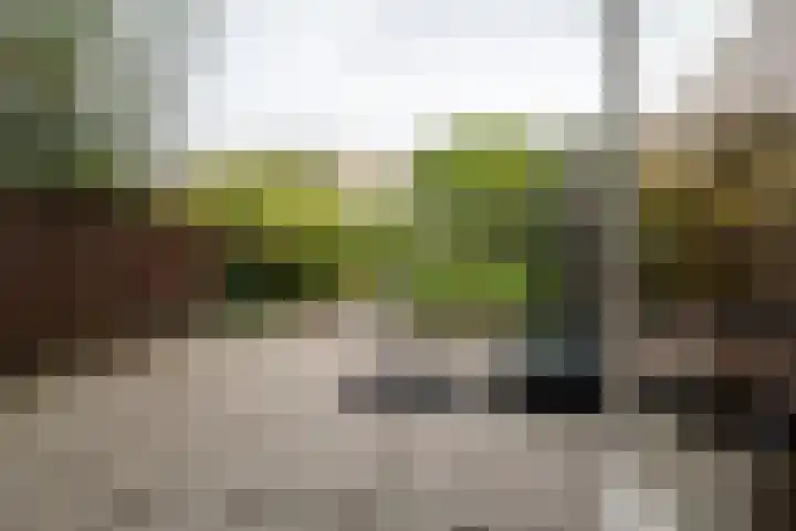 Bergkristalstraat 23 Groningen thumbnail 13