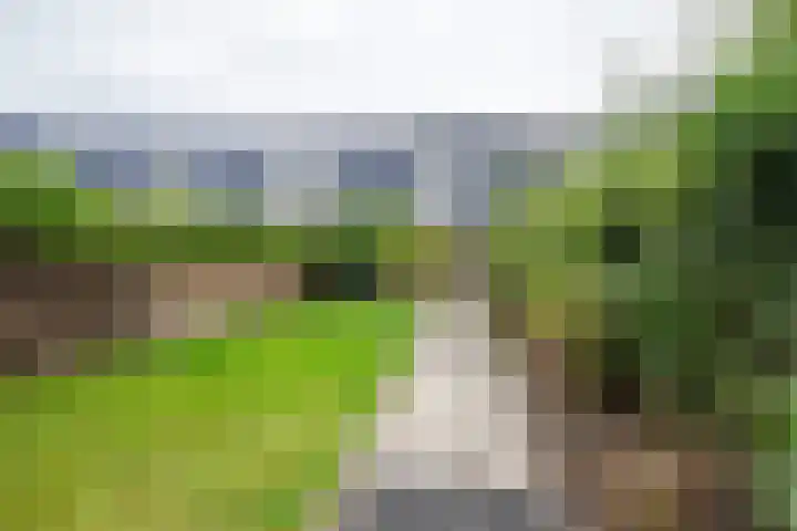 Bergkristalstraat 23 Groningen thumbnail 33