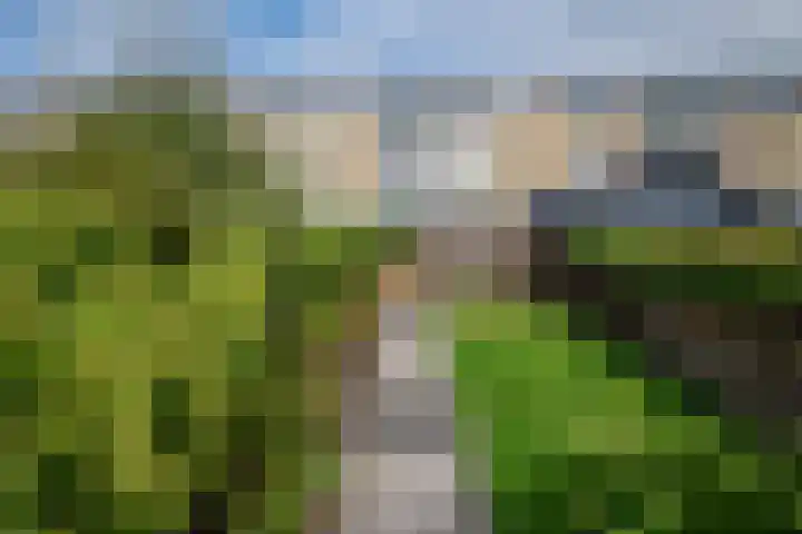 Bergkristalstraat 23 Groningen thumbnail 35