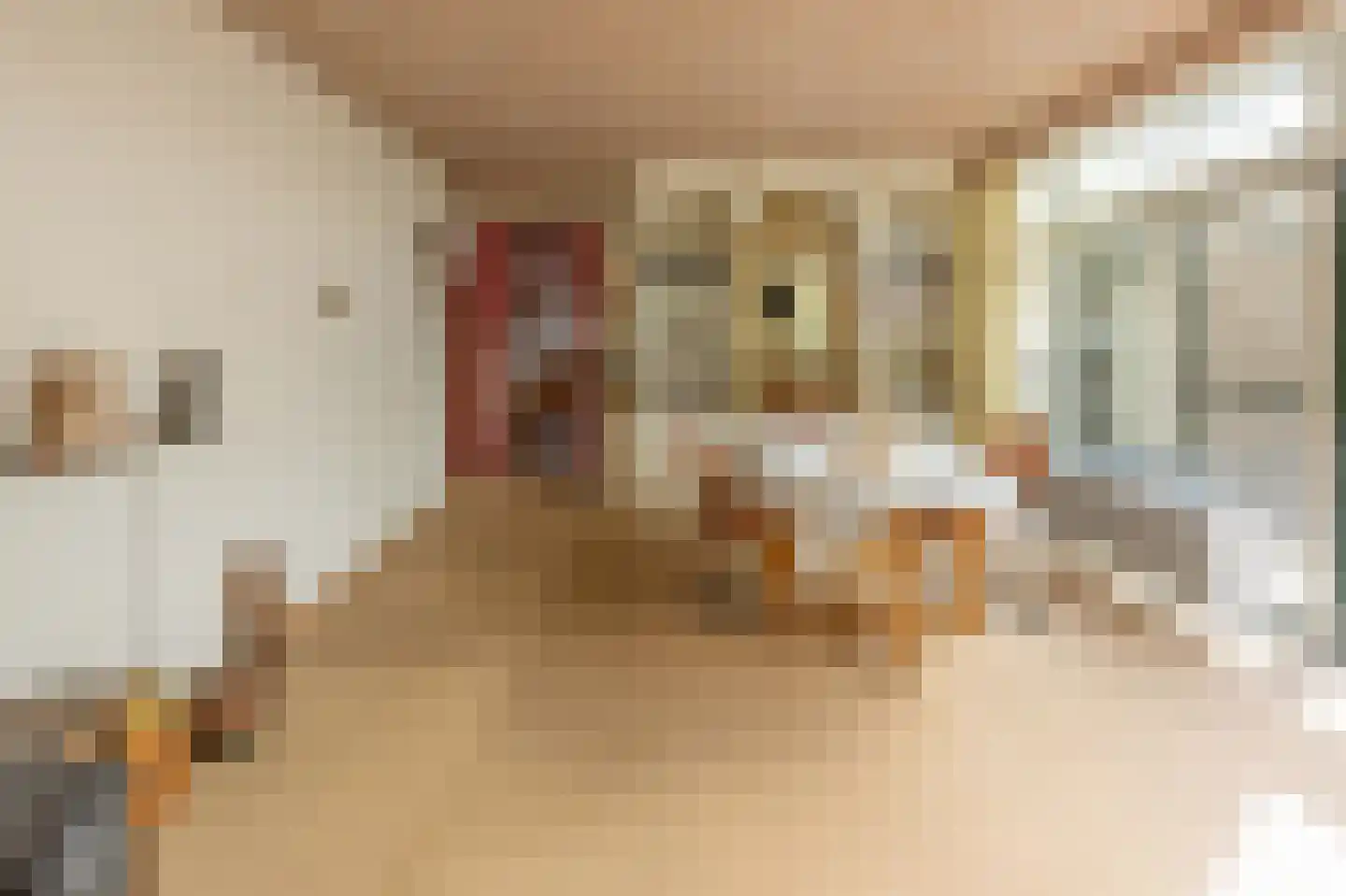 Bergkwartier 10 Venray thumbnail 23