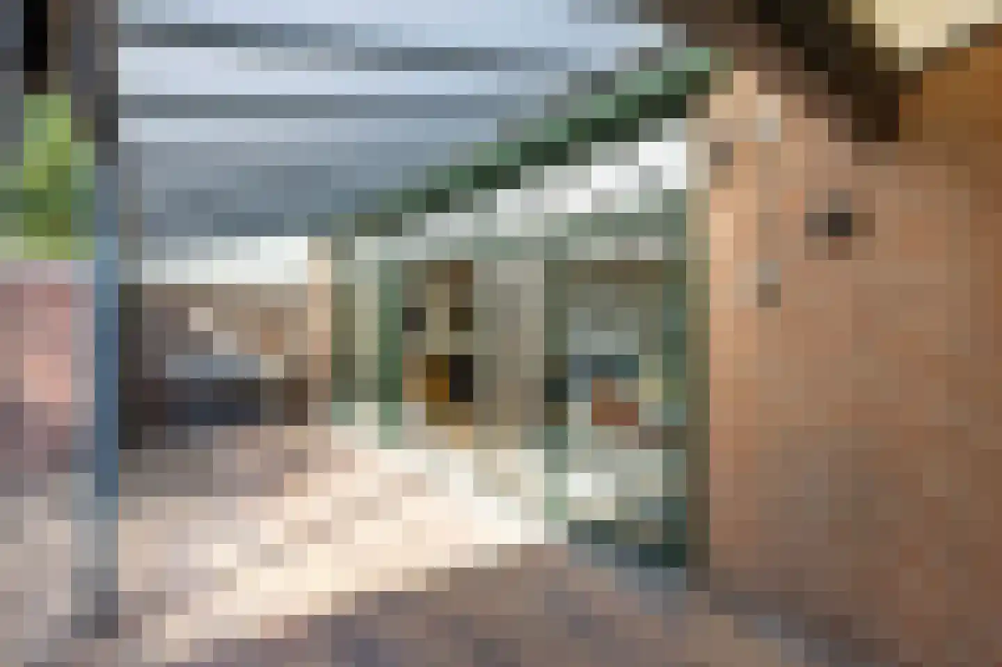 Bergkwartier 10 Venray thumbnail 33