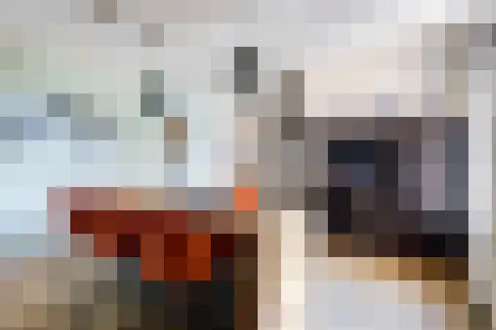 Bergkwartier 24 Venray thumbnail 17