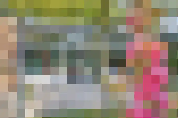 Bergkwartier 24 Venray thumbnail 37