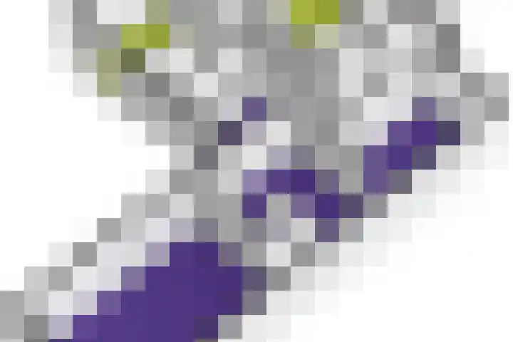 Bergkwartier 24 Venray thumbnail 38