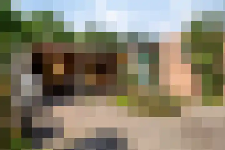 Bergkwartier 6 Venray thumbnail 25