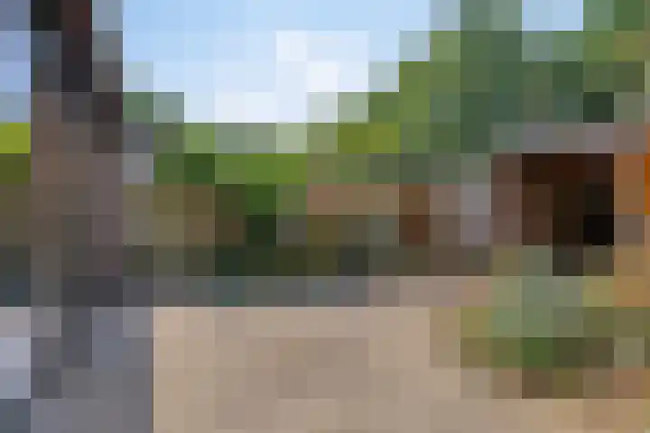 Bergkwartier 6 Venray thumbnail 26