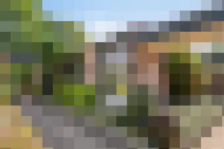 Bergkwartier 6 Venray thumbnail 27