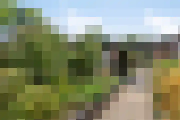 Bergkwartier 6 Venray thumbnail 29