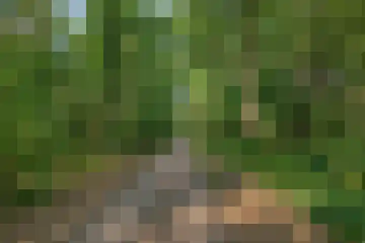 Bergkwartier 6 Venray thumbnail 30