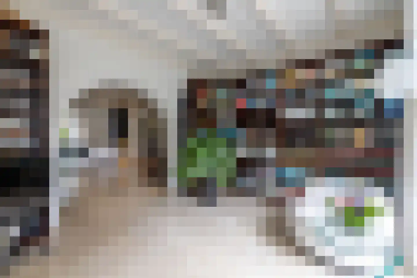 Berglaan 12 Doetinchem thumbnail 10
