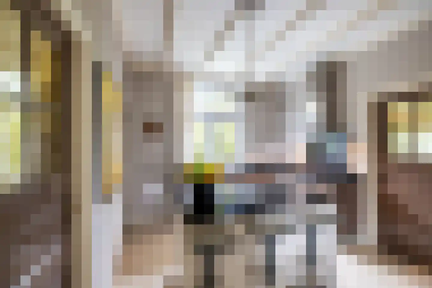 Berglaan 12 Doetinchem thumbnail 19