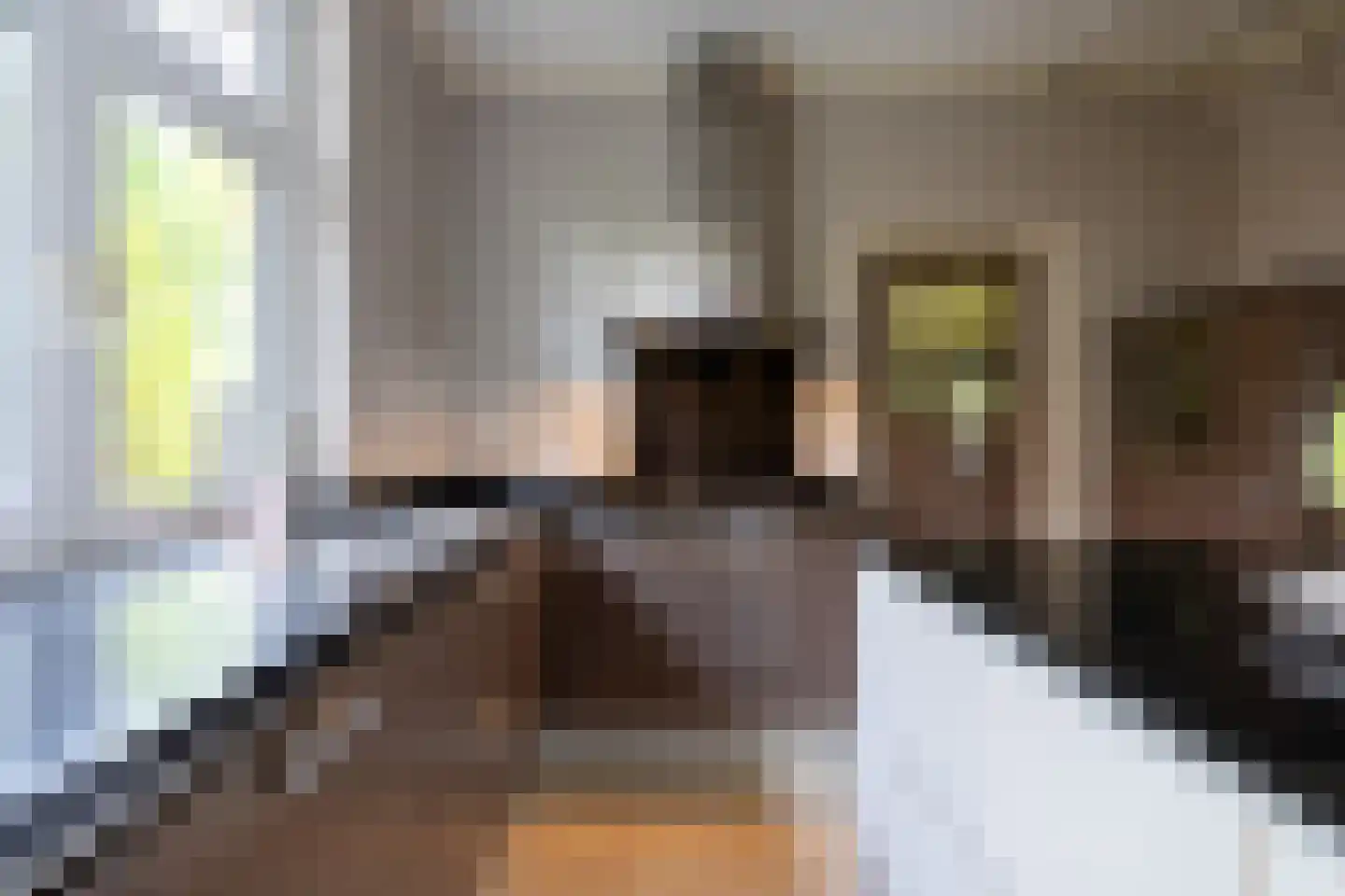 Berglaan 12 Doetinchem thumbnail 21