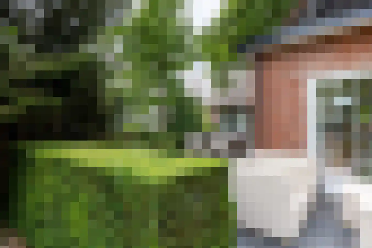 Berglaan 12 Doetinchem thumbnail 29