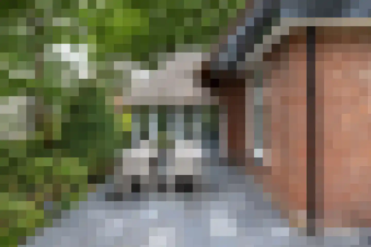 Berglaan 12 Doetinchem thumbnail 31