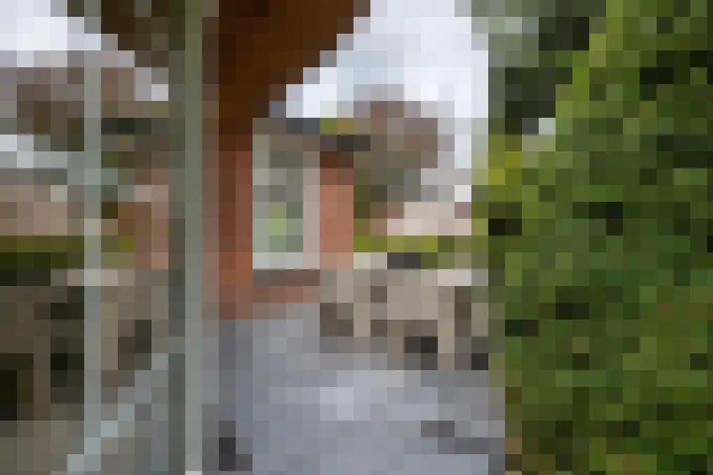 Berglaan 12 Doetinchem thumbnail 32