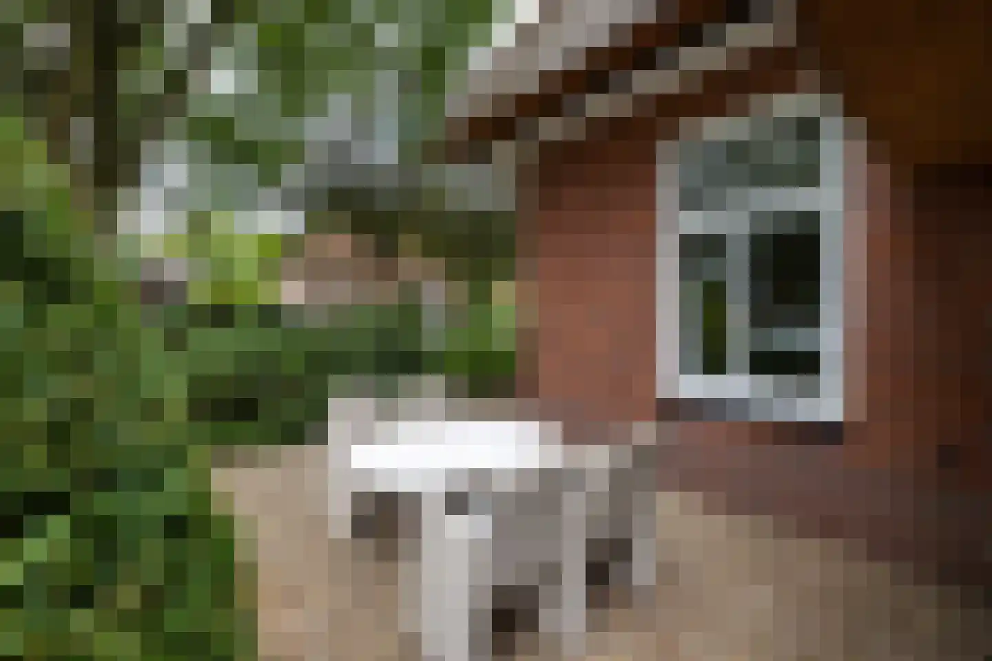 Berglaan 12 Doetinchem thumbnail 33