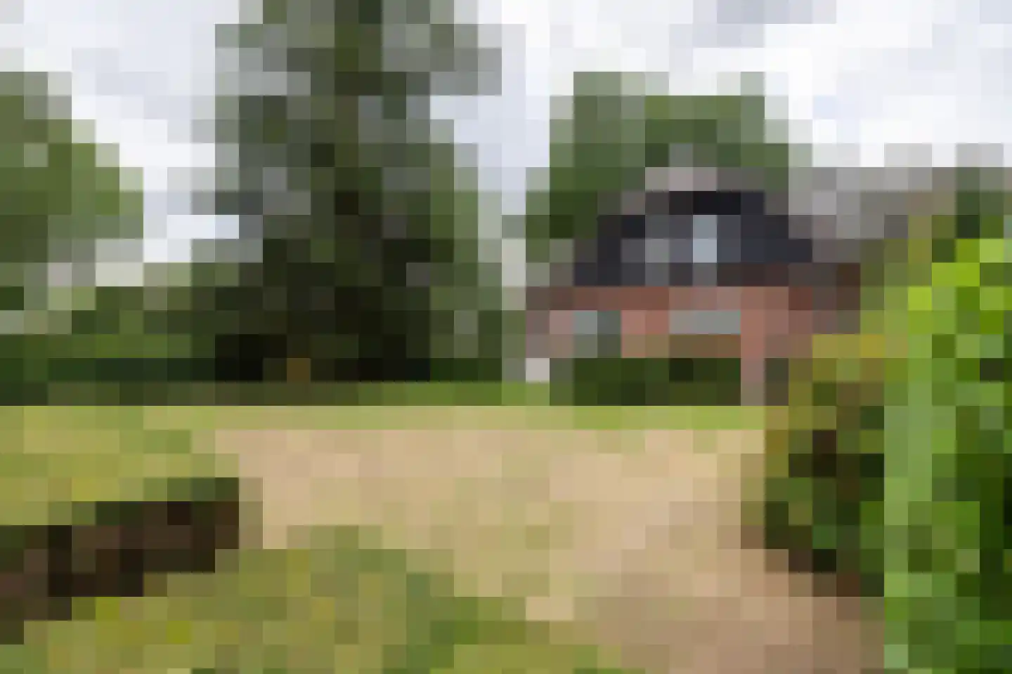 Berglaan 12 Doetinchem thumbnail 41
