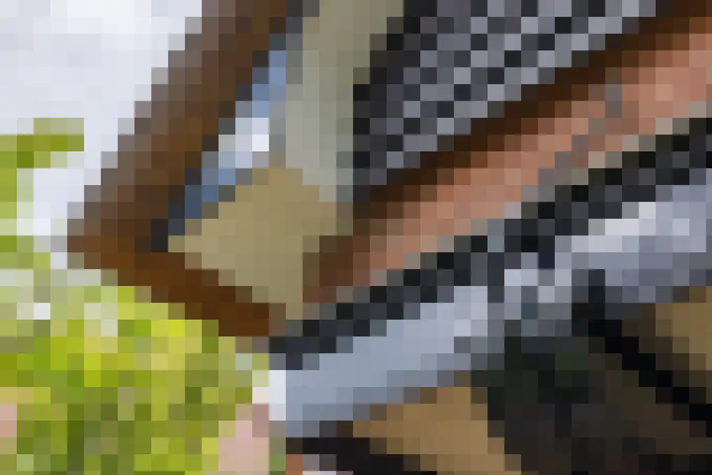 Berglaan 12 Doetinchem thumbnail 65