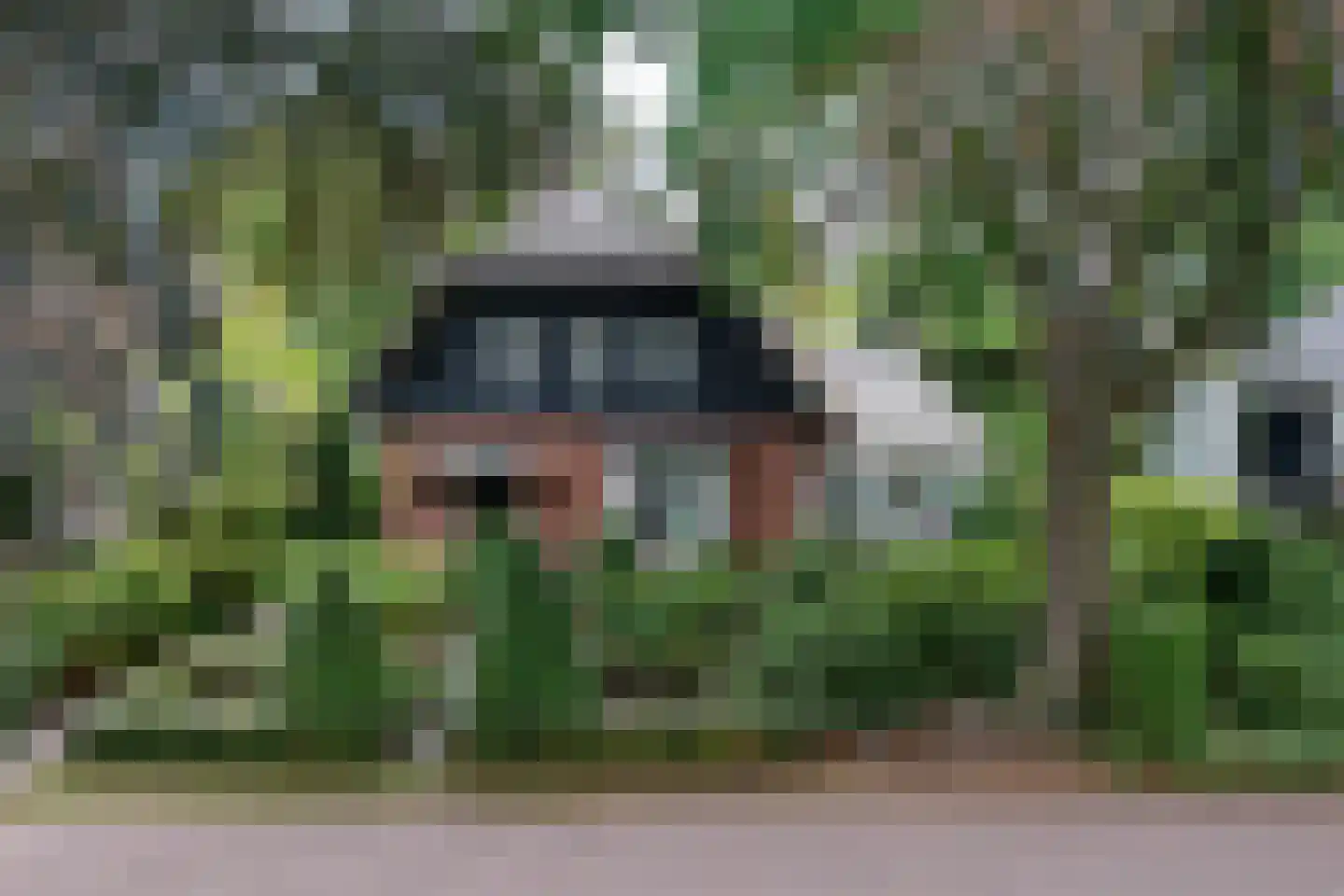 Berglaan 12 Doetinchem thumbnail 68