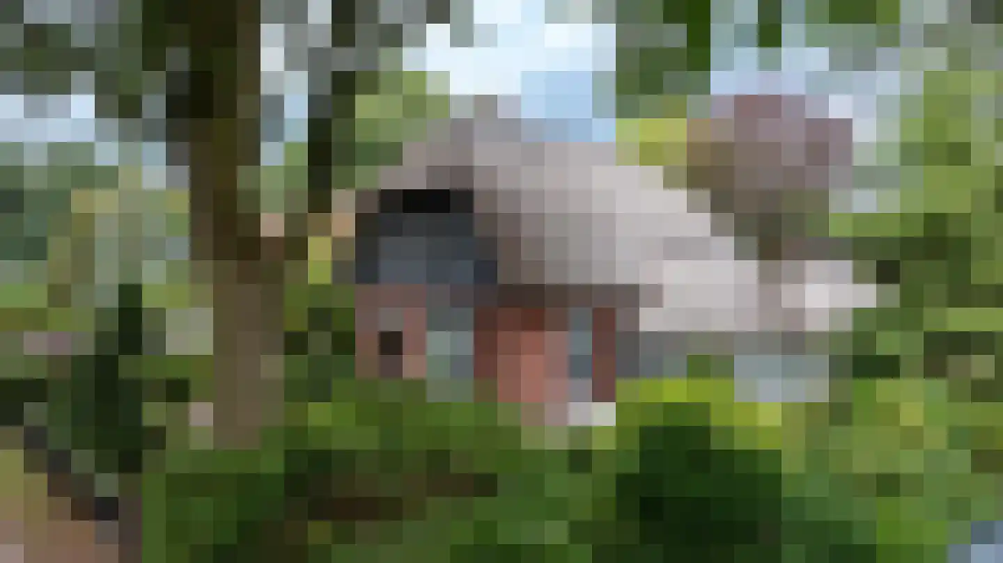 Berglaan 12 Doetinchem thumbnail 69