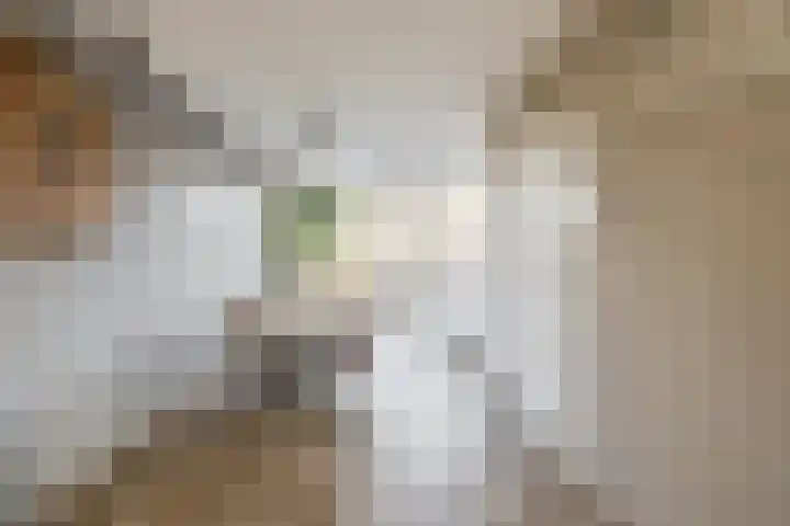 Berglaan 120 Zoetermeer thumbnail 10