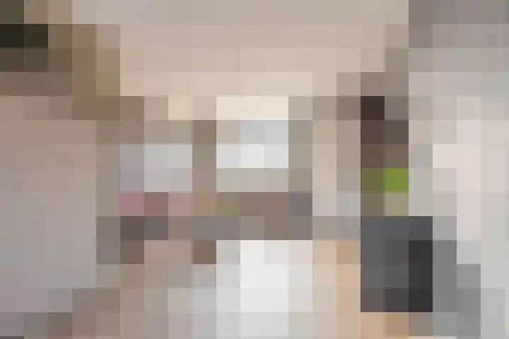 Berglaan 120 Zoetermeer thumbnail 11