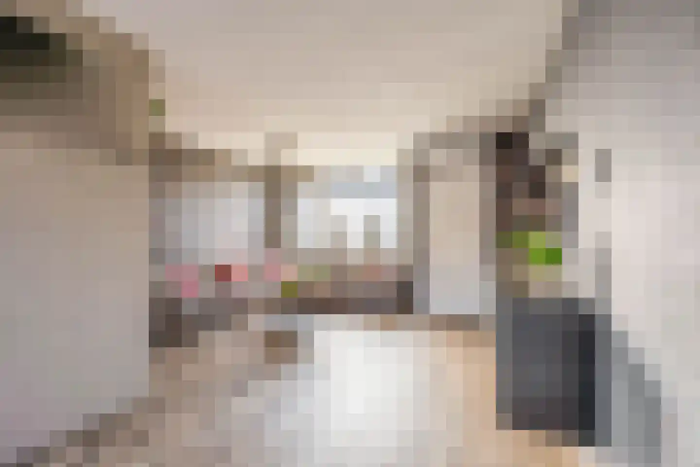 Berglaan 120 Zoetermeer thumbnail 11