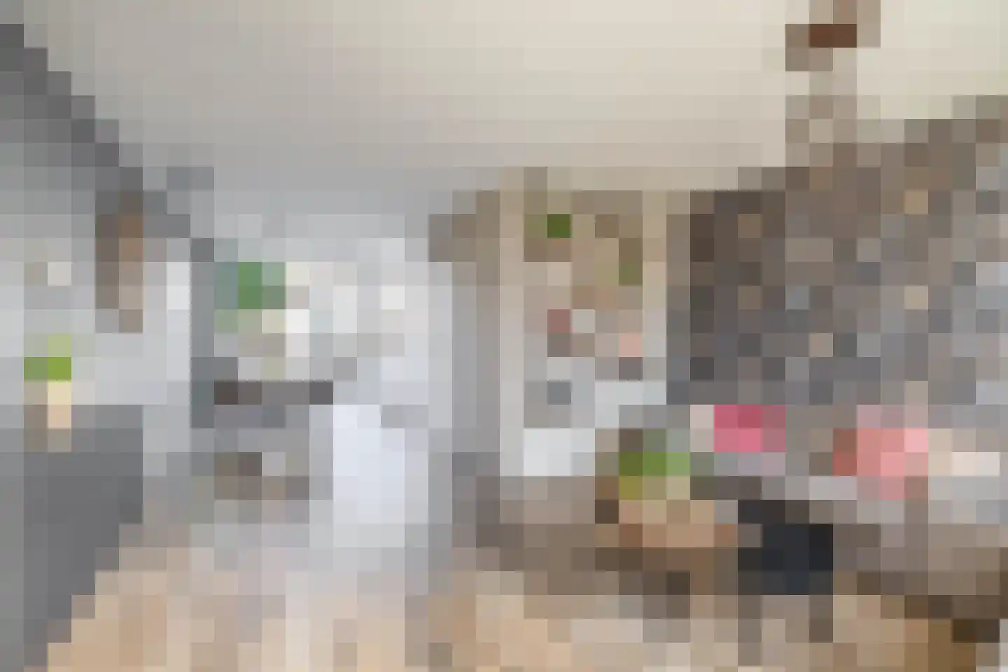 Berglaan 120 Zoetermeer thumbnail 13