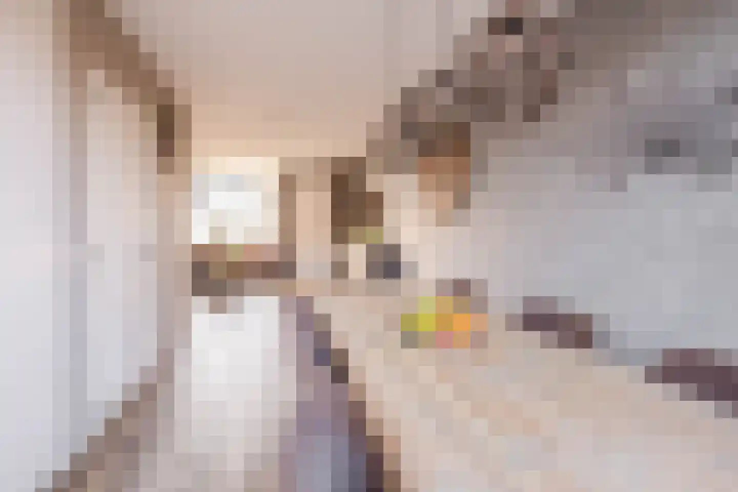 Berglaan 120 Zoetermeer thumbnail 14
