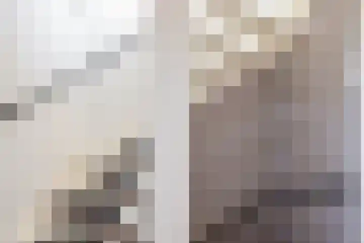Berglaan 120 Zoetermeer thumbnail 21