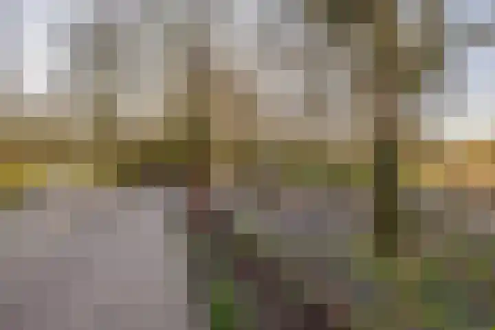 Berglaan 120 Zoetermeer thumbnail 31