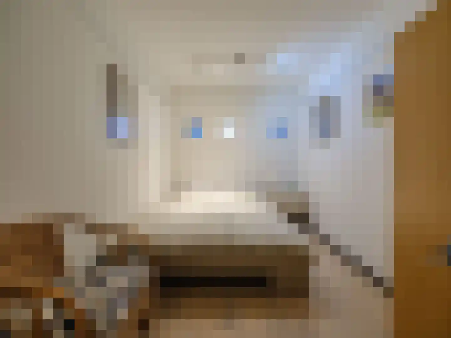 Berglaan 14 14 Drachten thumbnail 36