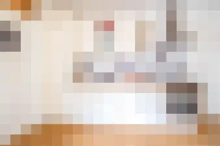 Berglaan 27 Drachten thumbnail 16