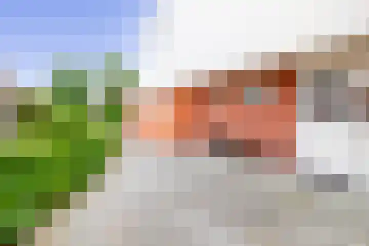 Berglaan 27 Drachten thumbnail 34