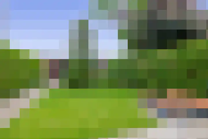 Berglaan 27 Drachten thumbnail 37