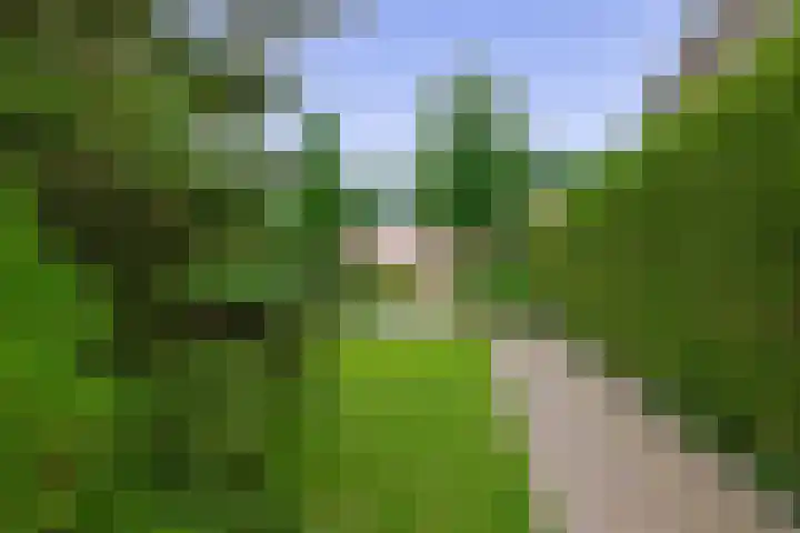 Berglaan 27 Drachten thumbnail 4