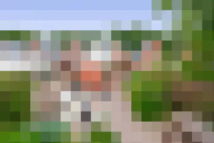 Berglaan 27 Drachten thumbnail 5