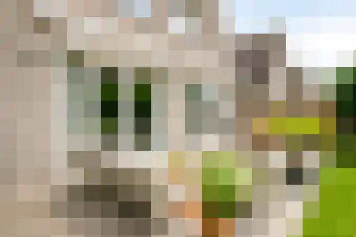 Berglaan 29 Woensdrecht thumbnail 39