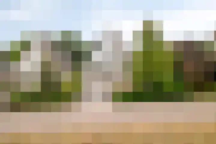 Berglaan 29 Woensdrecht thumbnail 47