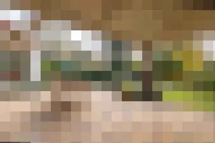 Berglaan 3 Doetinchem thumbnail 19