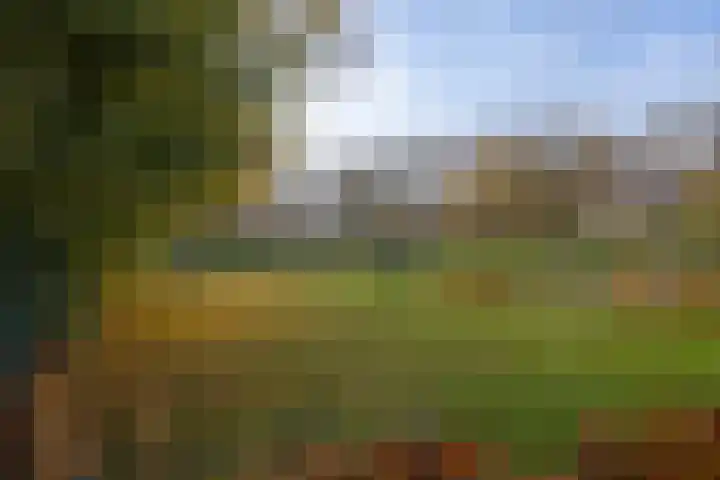 Berglaan 3 Doetinchem thumbnail 26