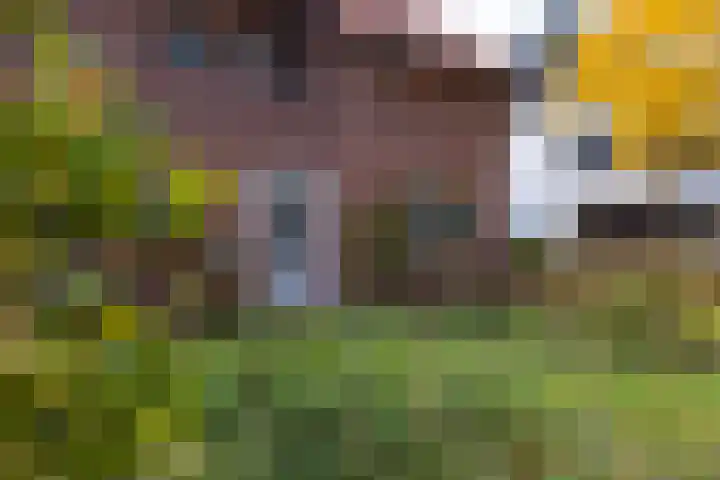 Berglaan 3 Doetinchem thumbnail 28